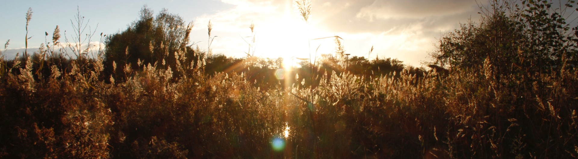 natuur-denhelder-wandelen.jpg