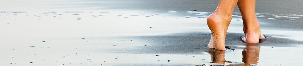 banner-low-2.jpg