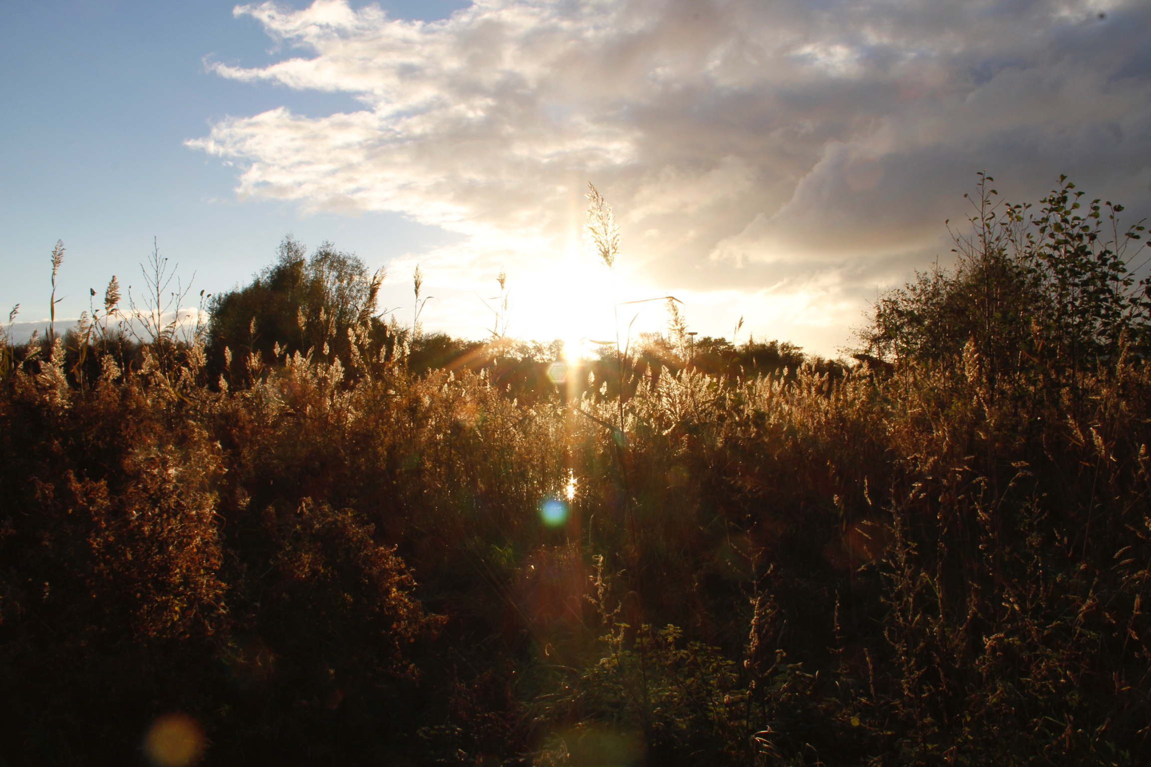 natuur-denhelder-wandelen.jpg